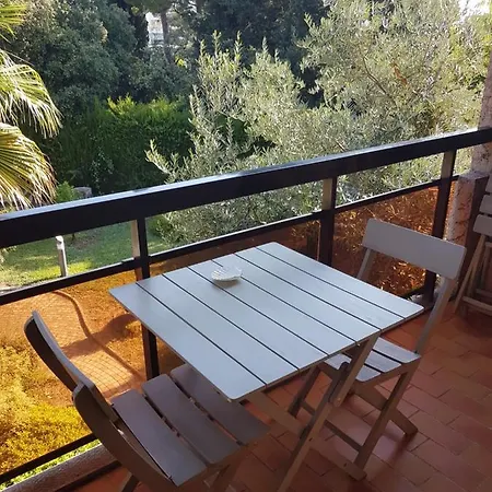 Les Palmiers A 700m De La