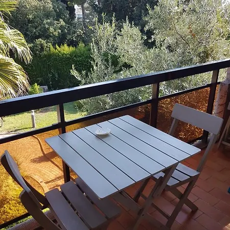 Les Palmiers A 700m De La Apartman *