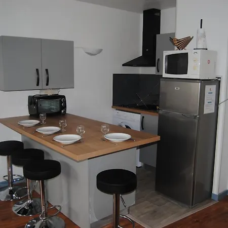 Les Palmiers A 700m De La * Nizza