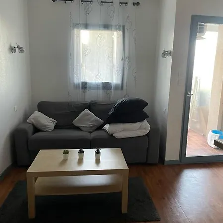 Les Palmiers A 700m De La Apartman