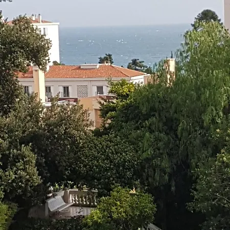Les Palmiers A 700m De La Lägenhet *