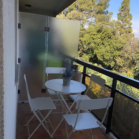 Les Palmiers A 700m De La *