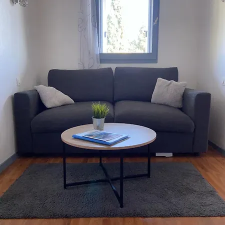 Les Palmiers A 700m De La Nizza