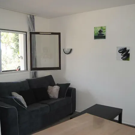 Apartman Les Palmiers A 700m De La *