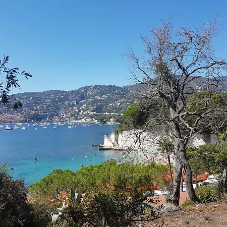 Les Palmiers A 700m De La Apartman *