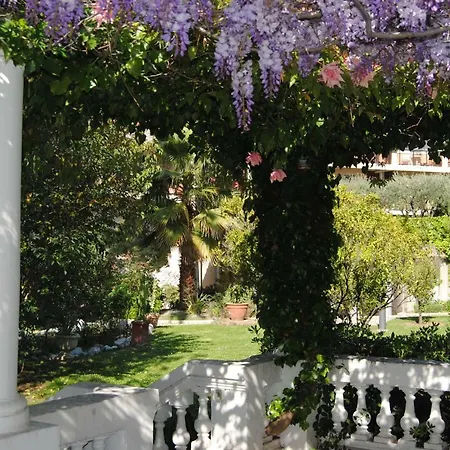 Apartman Les Palmiers A 700m De La Nizza