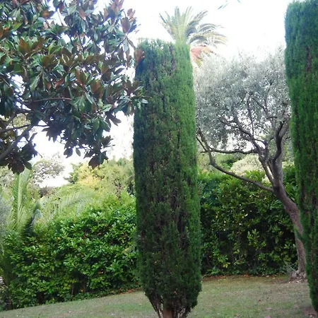 Les Palmiers A 700m De La Apartman