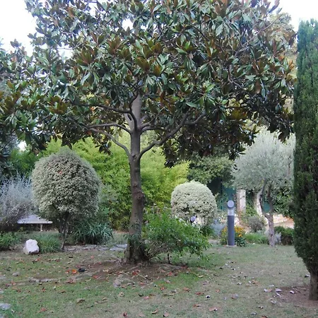 Les Palmiers A 700m De La * Nizza