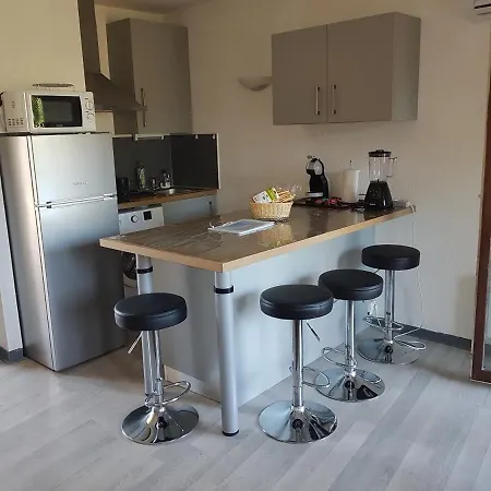 Les Palmiers A 700m De La