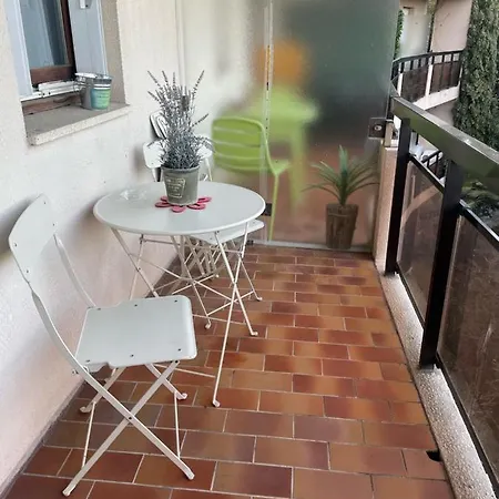 Les Palmiers A 700m De La * Nice