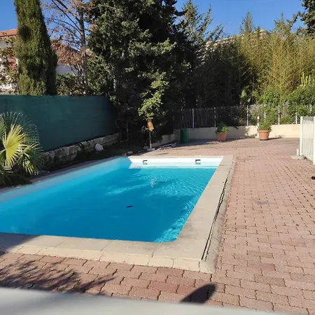 Les Palmiers A 700m De La * Nice