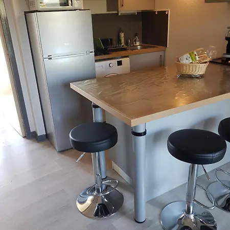 Appartement Les Palmiers A 700m De La Nice