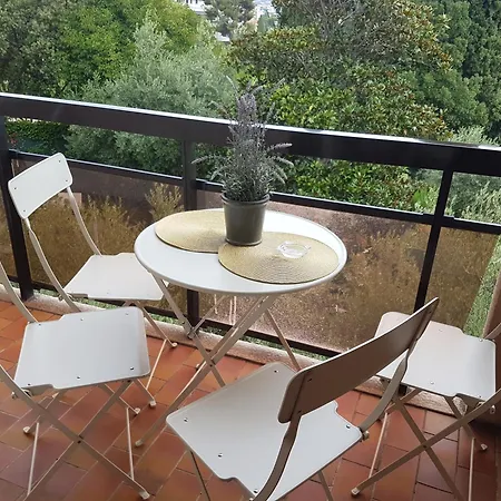 Appartement Les Palmiers A 700m De La Nice