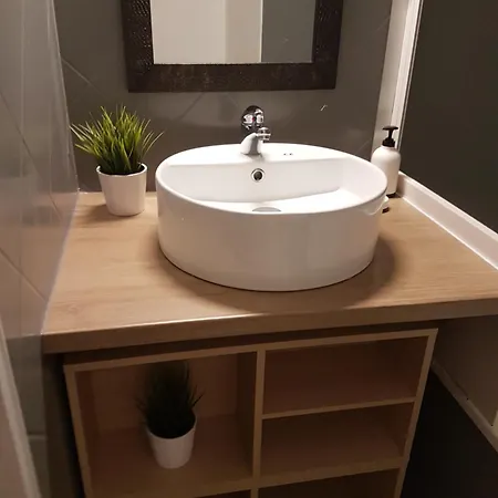 Les Palmiers A 700m De La * Nice