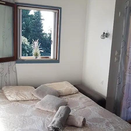 Les Palmiers A 700m De La Nice