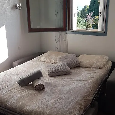 Les Palmiers A 700m De La Appartement