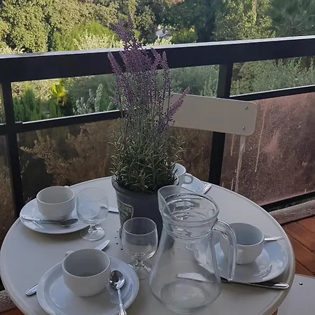 Appartement Les Palmiers A 700m De La