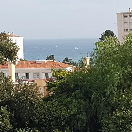 Les Palmiers A 700m De La