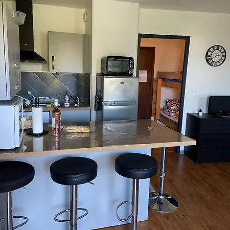 Appartement Les Palmiers A 700m De La Nice