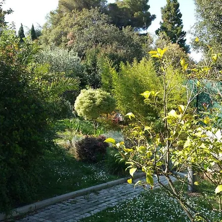 Les Palmiers A 700m De La *