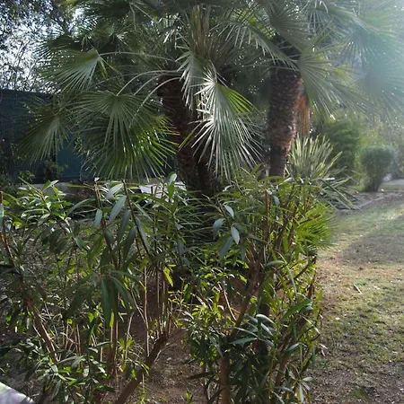 Appartement Les Palmiers A 700m De La Nice