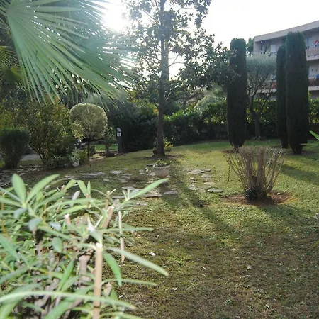 Les Palmiers A 700m De La Daire Nice