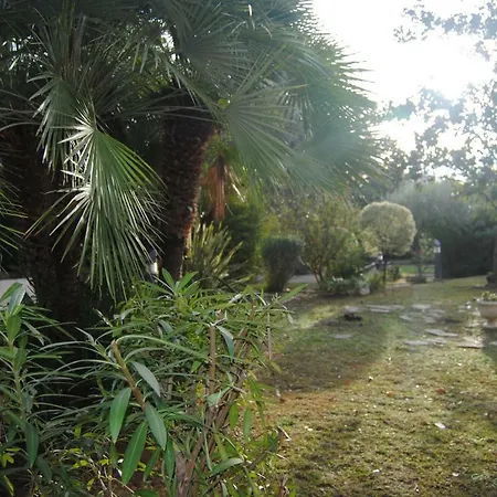 Les Palmiers A 700m De La *