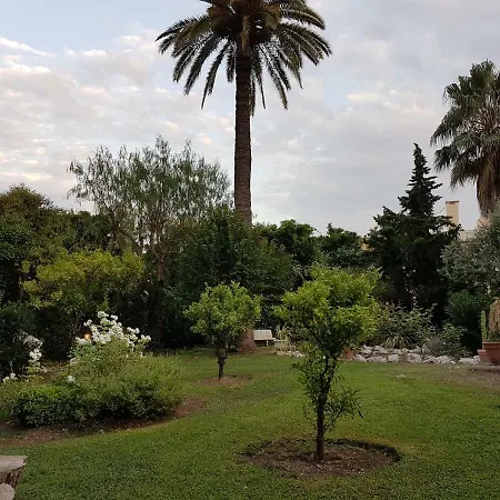 Les Palmiers A 700m De La Daire Nice