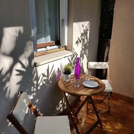 Les Palmiers A 700m De La * Nice