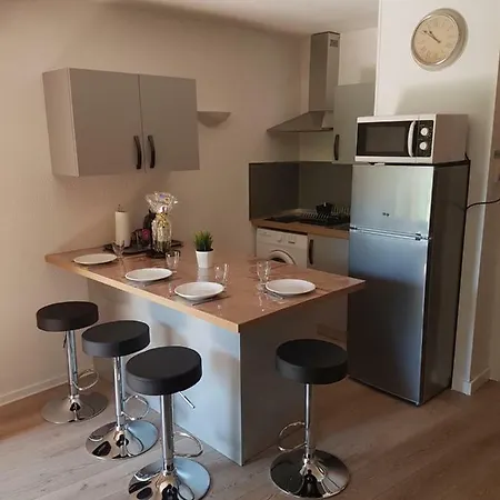 Les Palmiers A 700m De La * Nice