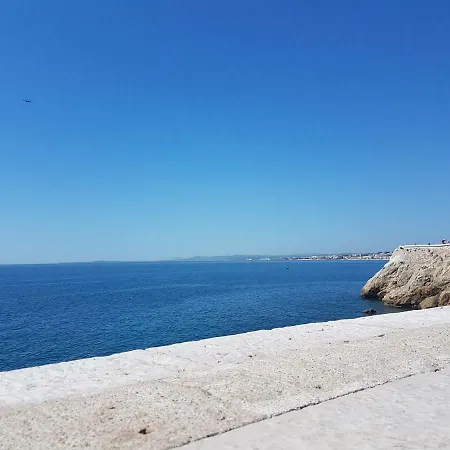 Les Palmiers A 700m De La Apartamento