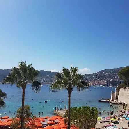 Les Palmiers A 700m De La * Nice