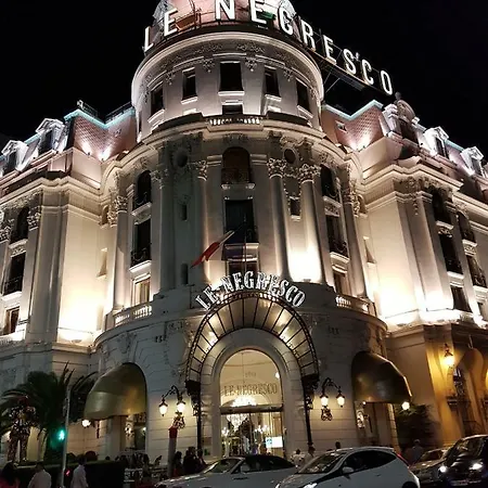 Les Palmiers A 700m De La Nice