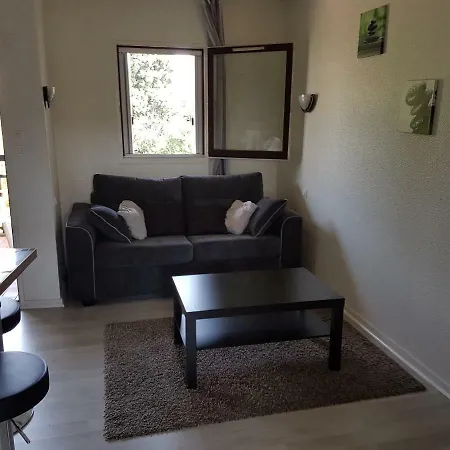 Appartement Les Palmiers A 700m De La Nice