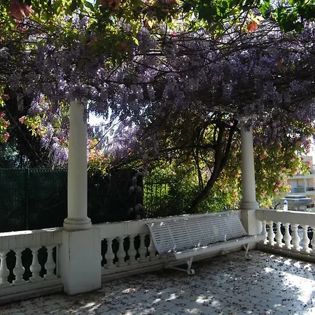 Les Palmiers A 700m De La Appartement