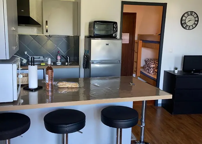 Apartamento Les Palmiers à 700m De La Nice