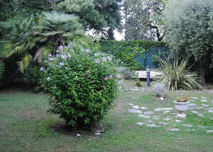 Les Palmiers à 700m De La *