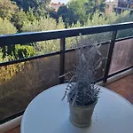 Les Palmiers A 700m De La Lägenhet Nice