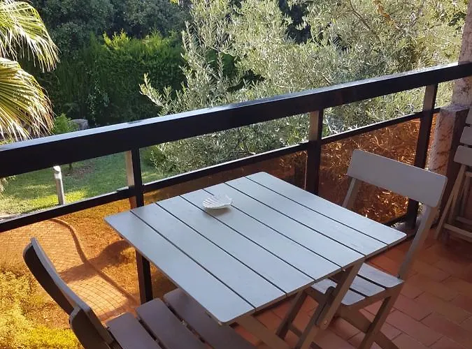 Les Palmiers A 700m De La