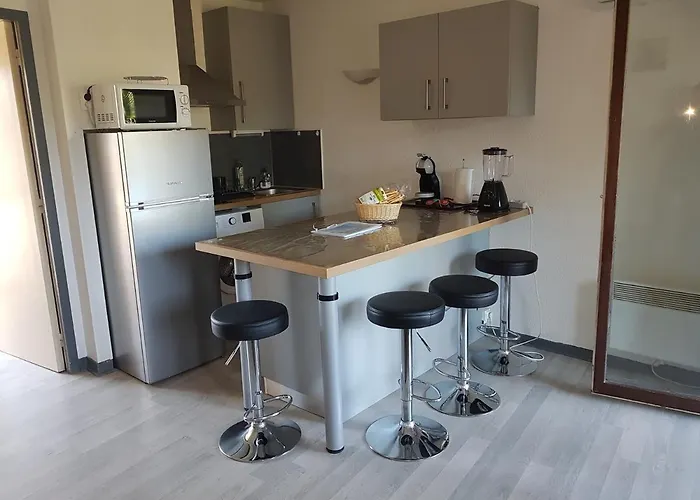 Les Palmiers A 700m De La