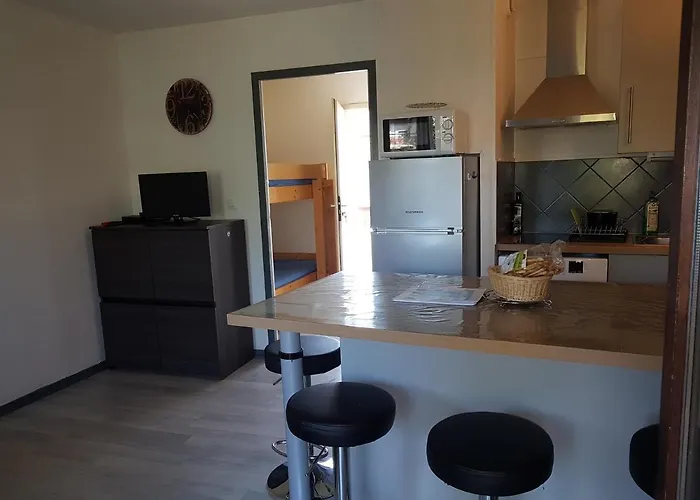 Les Palmiers A 700m De La *