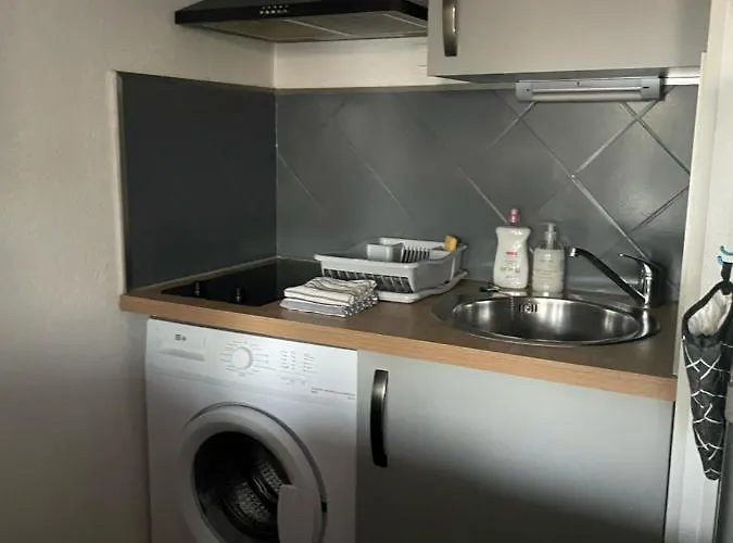 Les Palmiers A 700m De La *