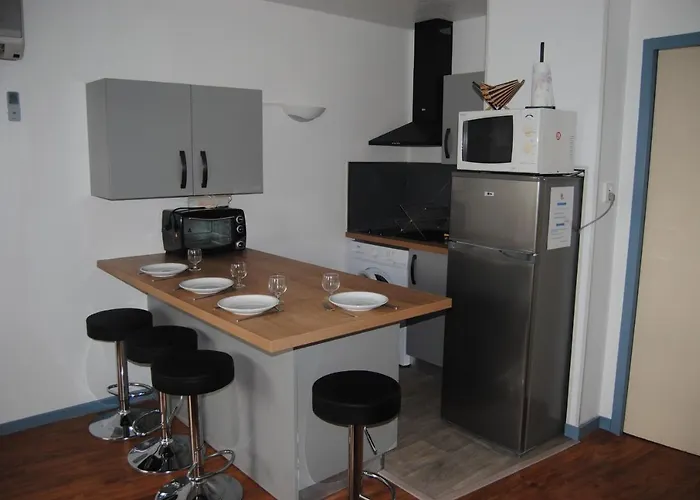 Les Palmiers A 700m De La * Nice