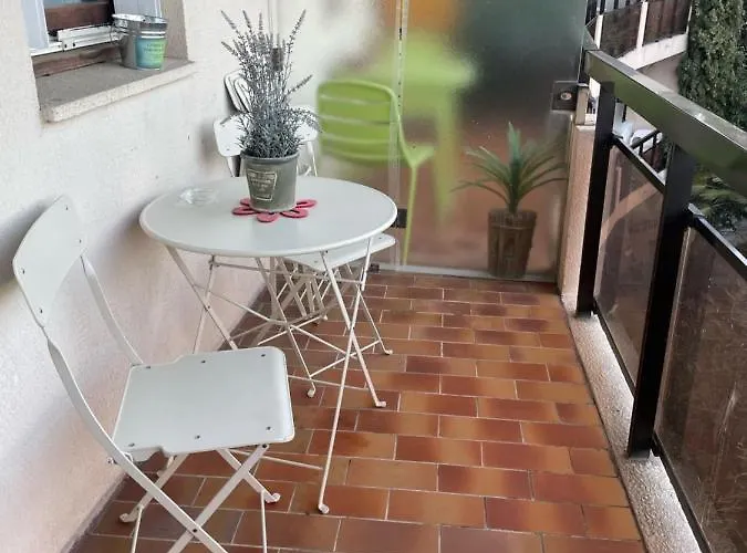 Les Palmiers A 700m De La * Nice