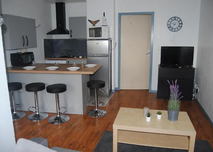 Les Palmiers A 700m De La