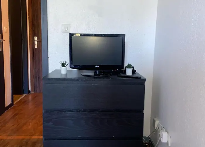 Les Palmiers A 700m De La Lägenhet Nice