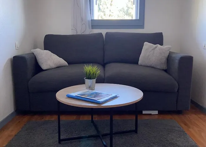 Les Palmiers A 700m De La Nice