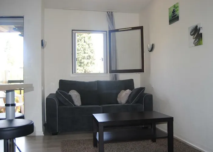 Les Palmiers A 700m De La