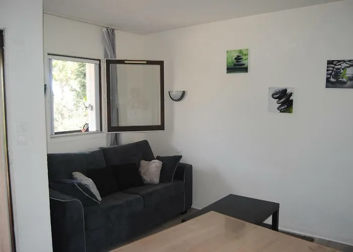 Lägenhet Les Palmiers A 700m De La *