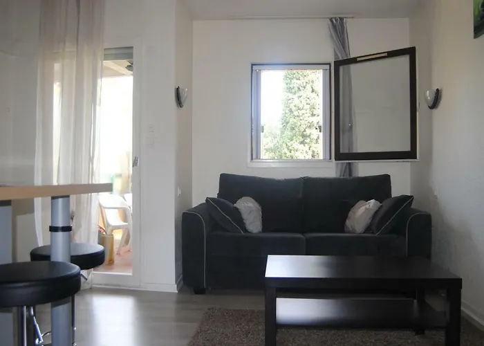 Les Palmiers A 700m De La